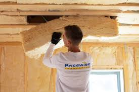 Eco-Friendly or Green Insulation Solutions in Camanche, IA